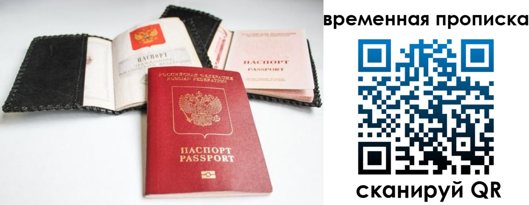 прописка для школы в Павловске